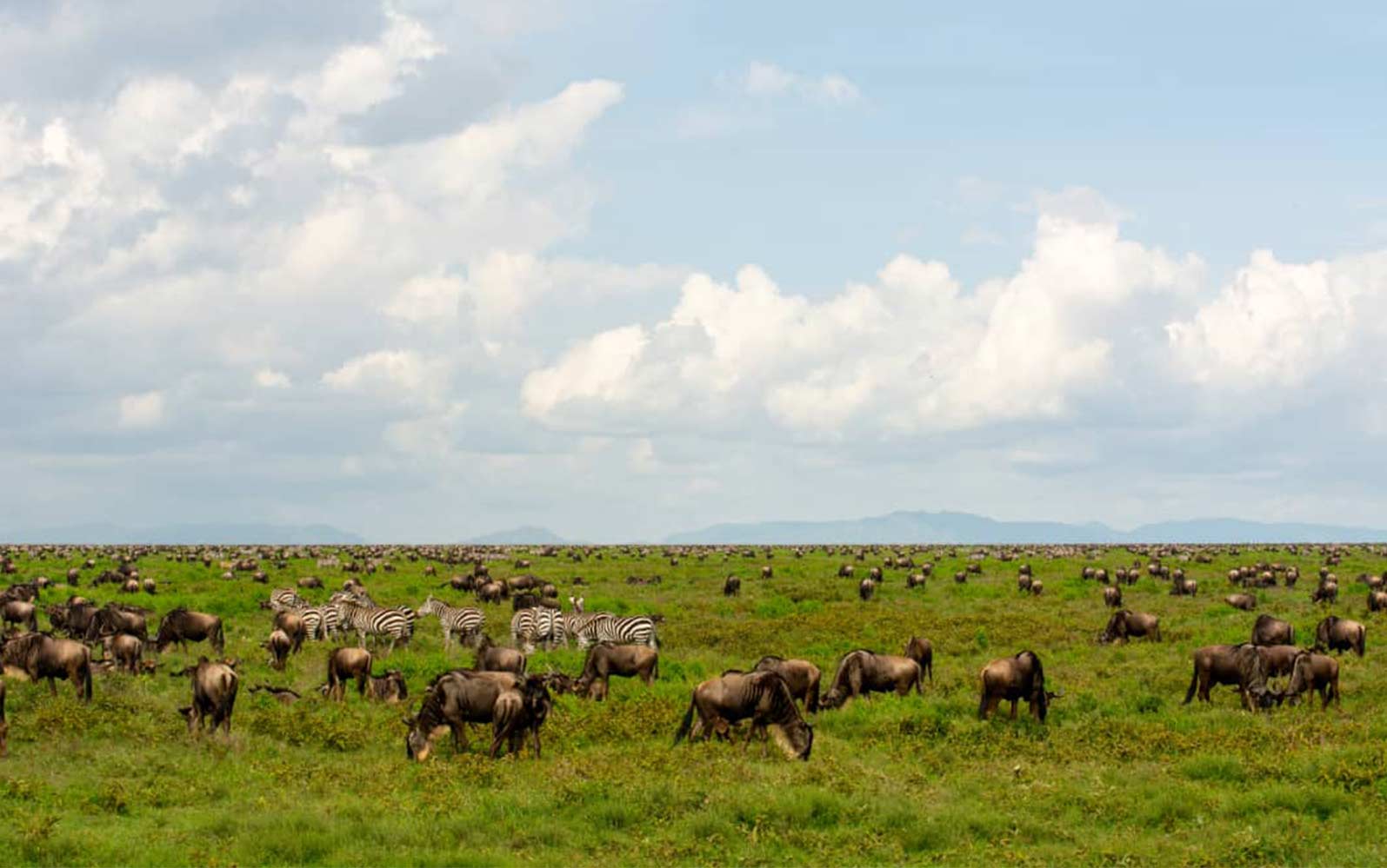 Serengeti National Park