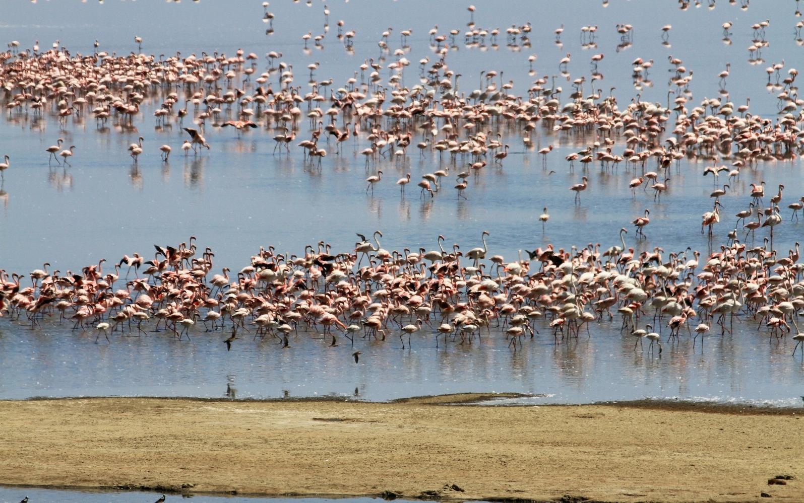 Lake Manyara